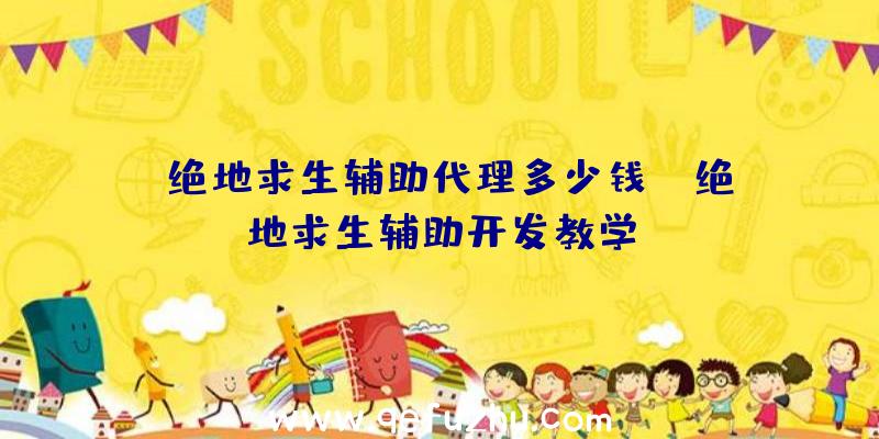 「绝地求生辅助代理多少钱」|绝地求生辅助开发教学